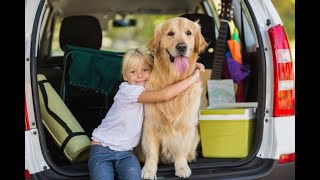 Sara und der Hund/die Hunde/Deutsch B1/Easy German for Mallus