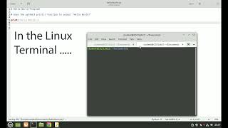How to Write a Hello World Program in Python 3 - Linux Mint