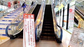 【東芝製】ヤマダデンキ テックランド新潟関新店　昇りエスカレーター