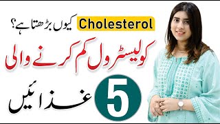 High Cholesterol Diet Plan - Causes, Symptoms & Treatment | By Hamala Khan