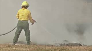 Reporta Conafor 13 incendios forestales activos en Veracruz