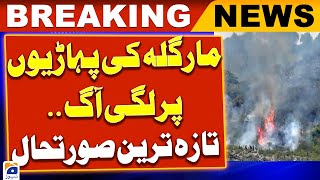 Terrible Fire Raging on Margalla Hills | Margalla Hills Fire | Breaking News