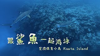 【鏡食旅】跟鯊魚一起游泳　斐濟保育小島Kuata Island｜鏡週刊