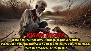 KISAH NYATA: KAKEK INI MENYELAMATKAN ANAK ANJING DAN MENJADI SUKSES | INILAH YANG TERJADI...