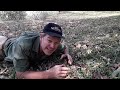 fearless the african plant hunter captures a 2kg wild kigelia fruit