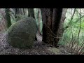 【世界遺産】熊野古道伊勢路 大吹峠道を歩く world heritage kumano kodo