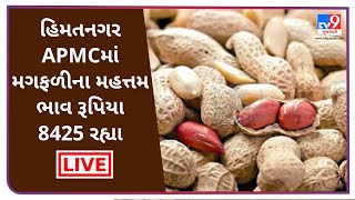 Mandi: હિમતનગર APMCમાં મગફળીના મહત્તમ ભાવ રૂપિયા 8425 રહ્યા Tv9News