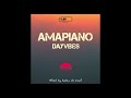 Amapiano Dayvibes mixed by Kabza De Small