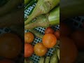 today s terrace garden harvesting shortvideo ytviralshorts ytshorts gardening