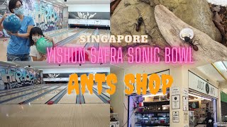 Yishun Safra | Sonic Bowl | Just Ants | Ants Shop | Singapore