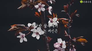 아직도 못 다한 사랑 - 솔개 트리오(한정선)