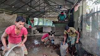 যারা প্লাস্টিক রিসাইকেলিং ব্যবসাটি শুরু করতে চাচ্ছেন। Pat -20