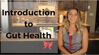Introduction To Gut Health