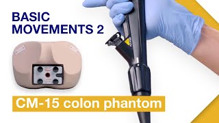 Mastering Colonoscope Insertion Part 2 | Tomohiko Richard Ohya, MD, PhD | Gastroenterology