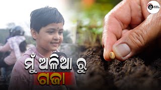 ମୋଠୁ କିଛି ଶିଖ ଓଡ଼ିଶା ବାସୀ। RAM NEWS ODISHA |