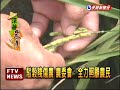 補助花博 農委會 未排擠預算－民視新聞