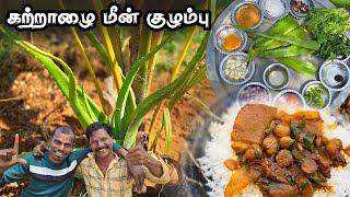 கற்றாழை மீன் குழம்பு 🤩 |  Aloe Vera Kuzhambu - Health Benefits of Aloe Vera