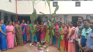 Merlion family Pongal celebration