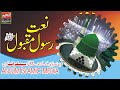 Heart touching Naat|Naat-E-Mustafa|2022 New|Anjum Islamic Media