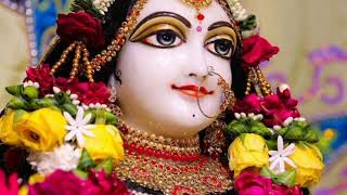 श्री राधा रानी का अद्भुत भजन🙏🙏✨💗#radharani