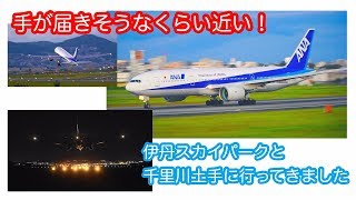 【大迫力の飛行機】伊丹スカイパークと千里川土手に行ってきました【飛行機撮りの聖地】