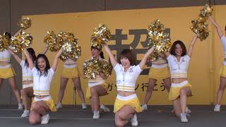 2013.6.16 SoftBank Hawks Honeys