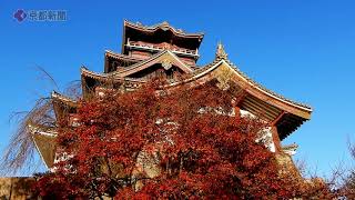 伏見桃山城公園の紅葉（2020年11月29日　京都市伏見区）