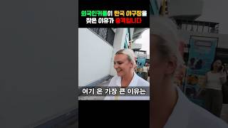 한국의 야구 문화에 제대로 빠진 외국인 #외국인 한국 반응 #외국인반응 #한국반응