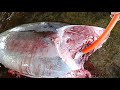 bigeye tuna cutting skills by top master