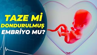 Tüp bebek tedavisinde taze mi yoksa dondurulmuş embriyo transferi mi? - Sağlıklı Günler