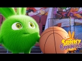 Sunny Bunnies | OS COELHOS ENSOLARADOS JOGAM O BASQUETEBOL | Cartoons Para Crianças