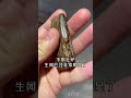 这块沉香生闻味道就已经非常浓郁了，好货还得遇到识货的人，沉香多少钱一克 喜欢沉香的朋友添加微信 553933885