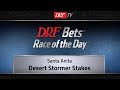 DRFBets Sunday Race of the Day - Desert Stormer 2019