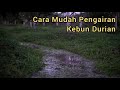 Cara Mudah Pengairan Kebun Durian