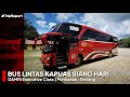 JELAJAH TRANS KALIMANTAN DENGAN BUS!!! | Trip Report DAMRI Executive Class Pontianak-Sintang