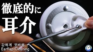 [耳介ASMR] 耳の周りを9つの道具で雑に掃除して眠らせる30分（ステンレス・巨大綿棒・竹耳かき・ブラシ etc) / 귓바퀴 청소 / Earflap Cleaning(No Talking）