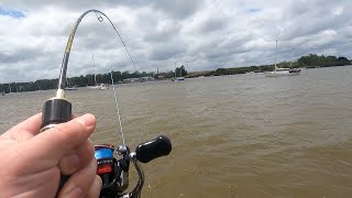 Brisbane river fishing harbody lures - Cod and Bream