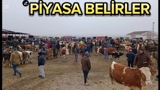 KIRŞEHİR HAYVAN PAZARI 01 ARALIK/LİVESTOCK BAZAAR