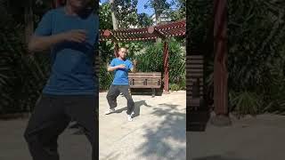 HKSCSA：少林散打步法練習 SHAOLIN SANDA STEP TRAINING