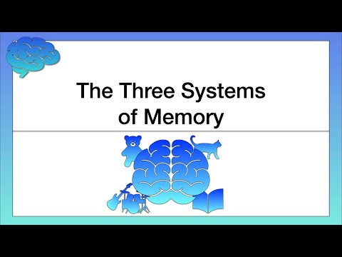 What is the system of memory that holds information for time frames of a fraction of a second to several seconds?