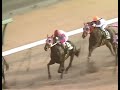 ダイイチルビー 1991年 第9回ローレル競馬場賞 中山牝馬ステークス giii 優勝馬：ユキノサンライズ