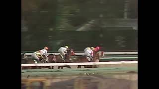 ダイイチルビー 1991年 第9回ローレル競馬場賞 中山牝馬ステークス(GIII) (優勝馬：ユキノサンライズ)