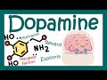 Dopamine |  Dopaminergic pathways in brain | Dopamine deficiency | Parkinson's disease