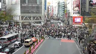 The crowded Shibuya crossing