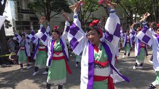 【天空しなと屋茜丸】原宿表参道元氣祭り スーパーよさこい2018(NHK前ｽﾄﾘｰﾄ)8.26