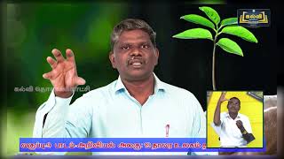 Class 9 | வகுப்பு 9 | அறிவியல் | தாவர உலகம் தாவர செயலியல் | அலகு 19 | KalviTv