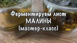 Ферментируем лист малины (мастер-класс)