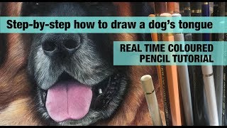 How to draw a dog's tongue with coloured pencils - real time