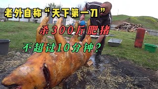 老外自称“天下第一刀”，5厘米短刀杀300斤肥猪，不超过10分钟？