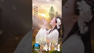 明白 — 关注“心语夜读”频道，每天发送温暖人心的短视频，陪您一起感悟人生，互相鼓励。#心语夜读 #晚安 #励志